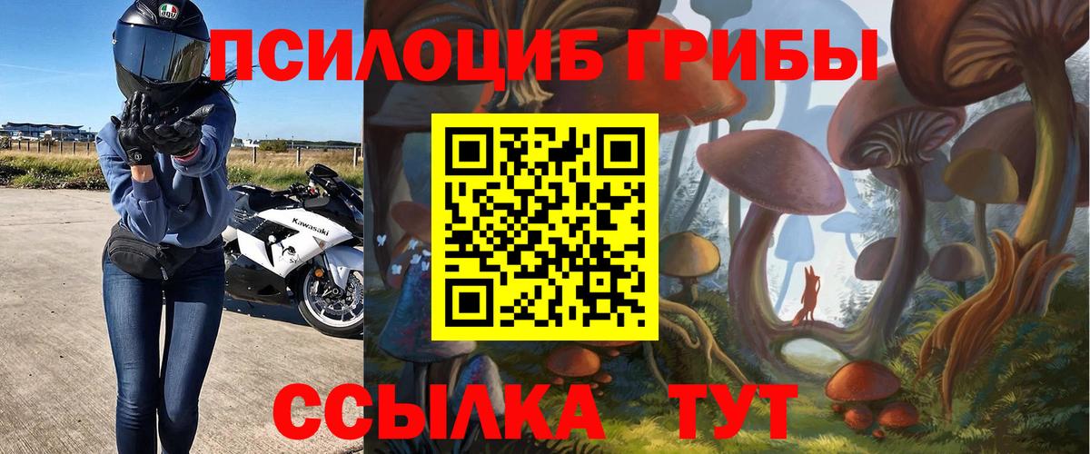 Подольск  Псилоцибиновые грибы Magic Shrooms  Вход с VPN  Галлюциногенные грибы Psilocybe 