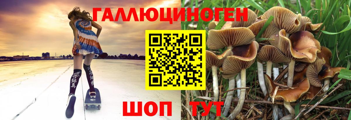Галлюциногенные грибы мицелий Подольск